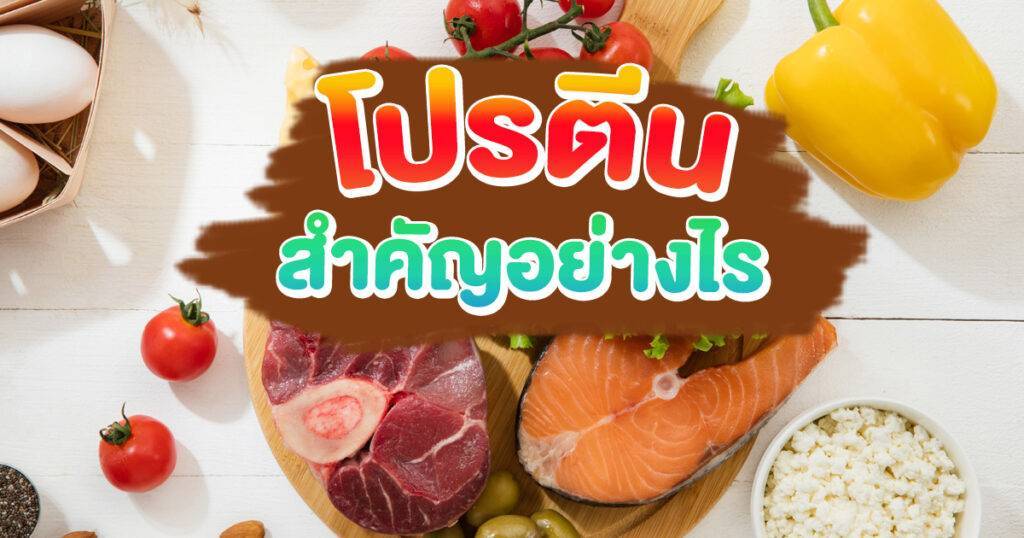 โปรตีน